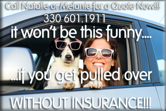 Natalie Culler Auto Insurance in Wooster